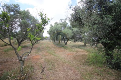 Landejendom i Calimera, Lecce, Calimera - € 135.000 | Ref:  CR001 - foto 14